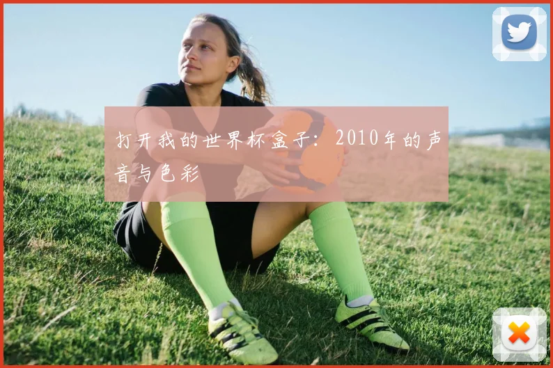 打开我的世界杯盒子：2010年的声音与色彩