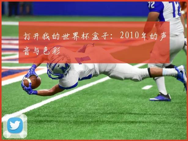 打开我的世界杯盒子：2010年的声音与色彩